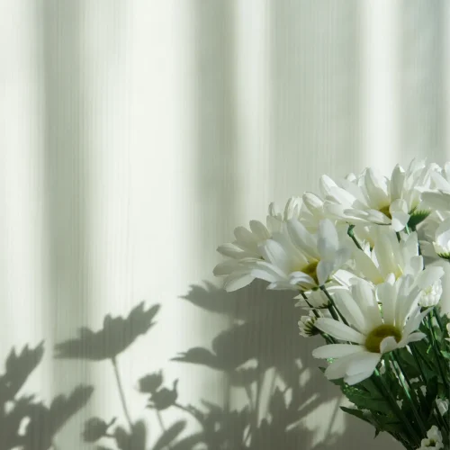 gallery-footer-4.webp